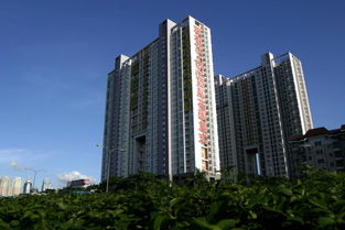 惠州市花樣年房地產(chǎn)開(kāi)發(fā) 城市變遷的見(jiàn)證者與推動(dòng)者